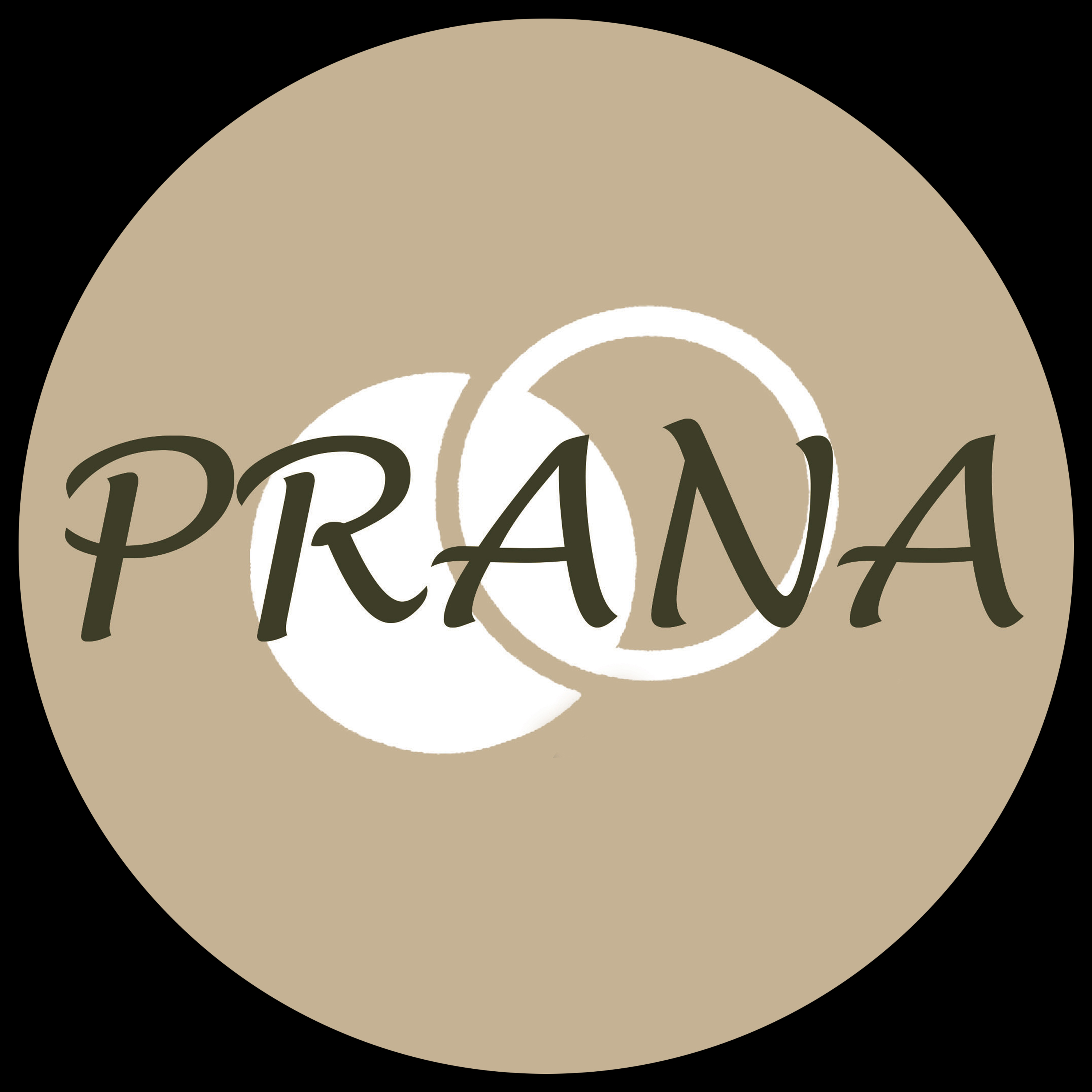 خانه هنر‌ پرانا